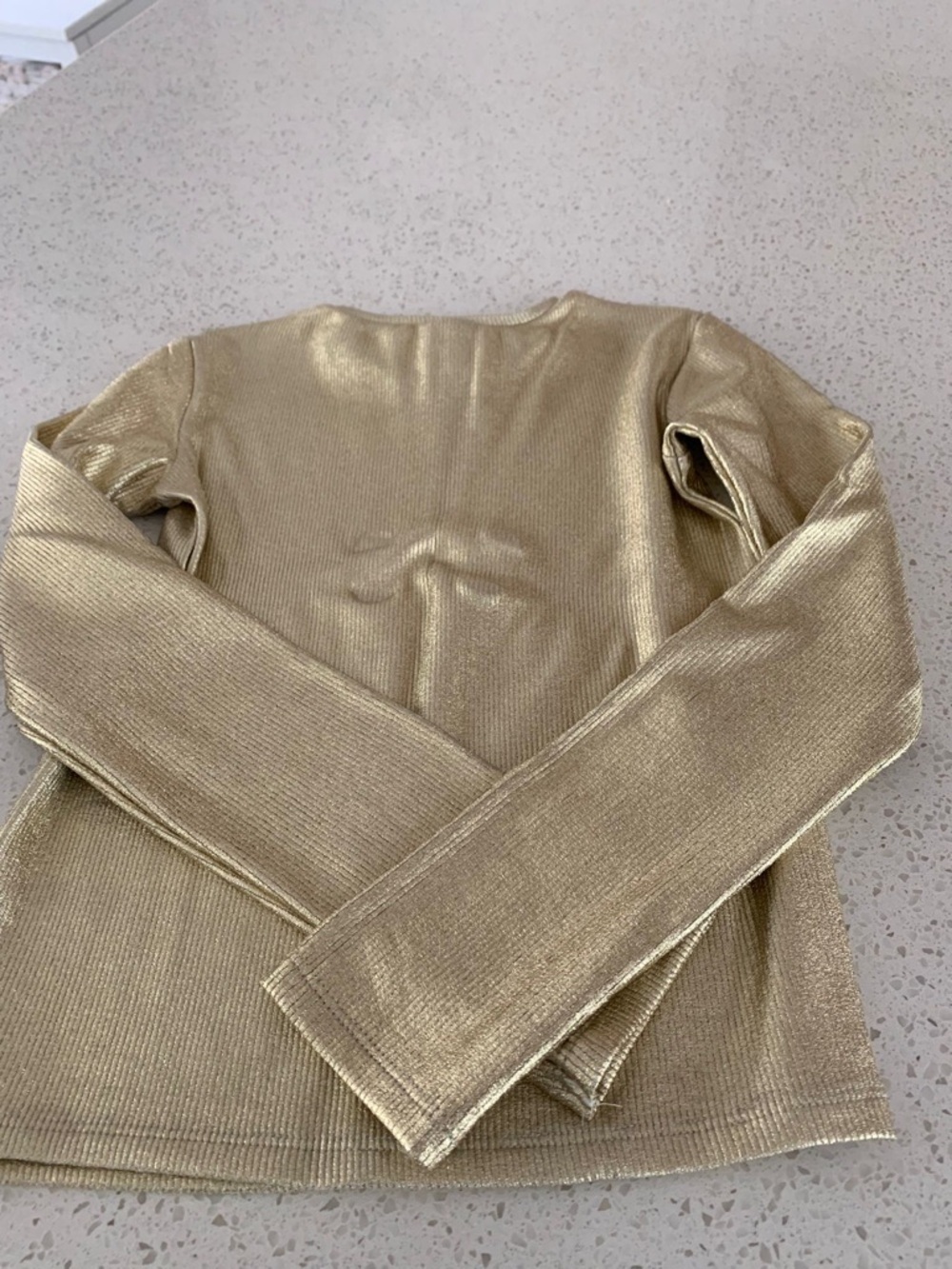 Zara Shimmery Gold Ribbed Long Sleeve Top